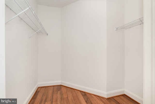 walk in closet featuring hardwood / wood-style floors