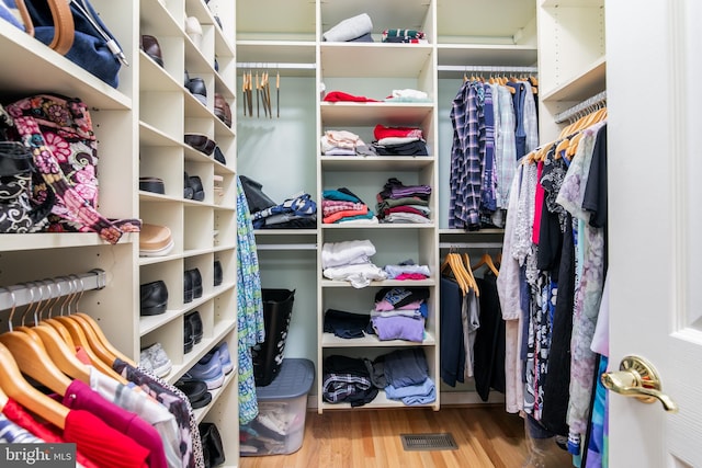 walk in closet with wood-type flooring