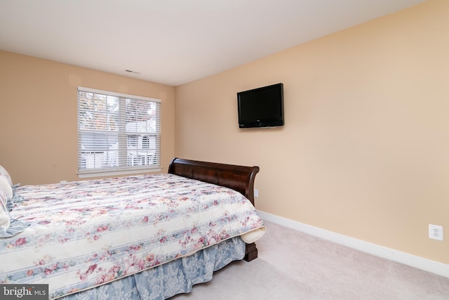 bedroom with carpet flooring