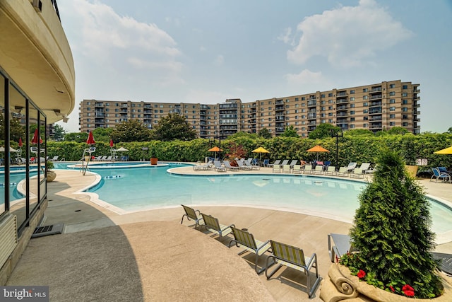 view of pool with a patio