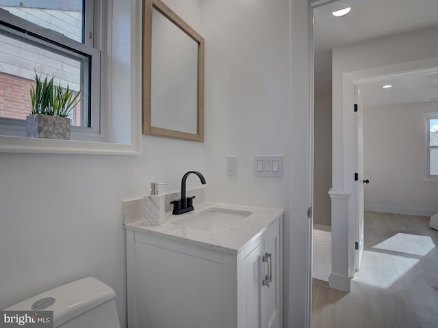 bathroom featuring toilet, vanity, and wood-type flooring