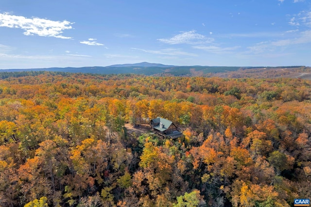 drone / aerial view featuring a mountain view