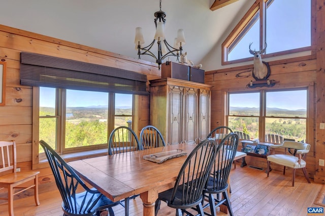 dining area with wooden walls, plenty of natural light, and light wood-type flooring