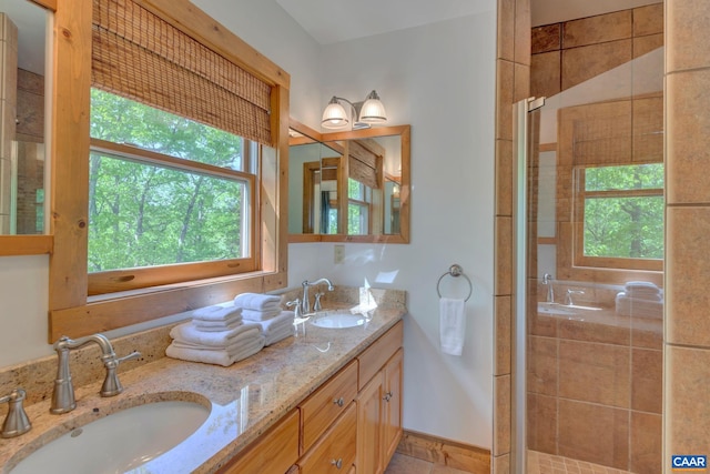 bathroom featuring vanity, walk in shower, and a wealth of natural light