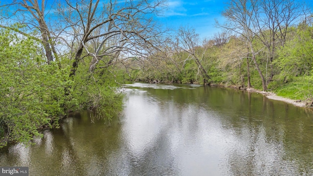 view of water feature with a forest view