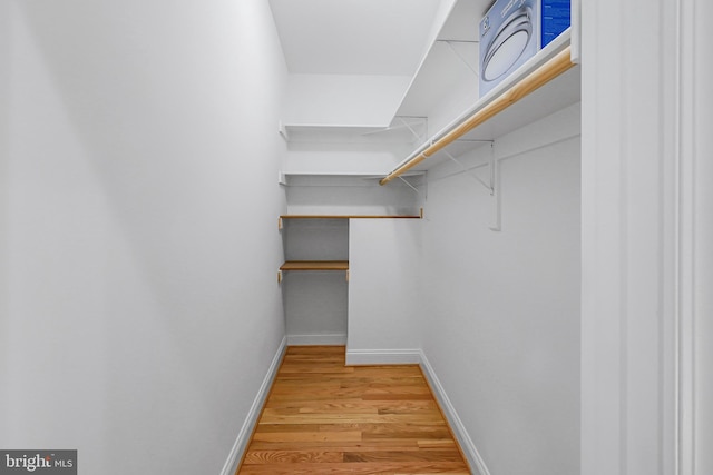 walk in closet featuring wood-type flooring