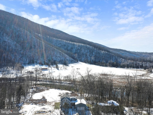 property view of mountains