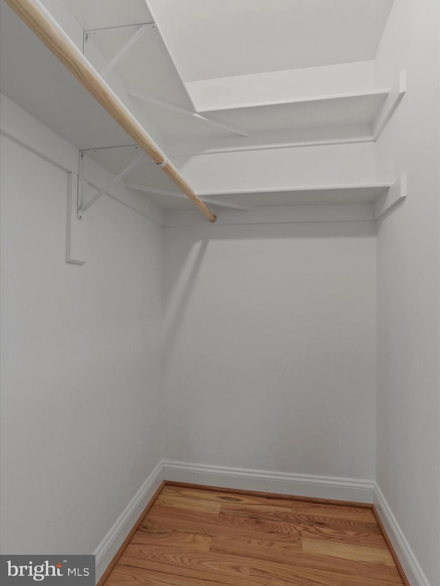 spacious closet with wood-type flooring