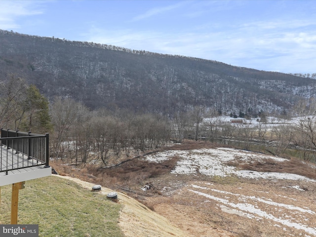 view of mountain feature
