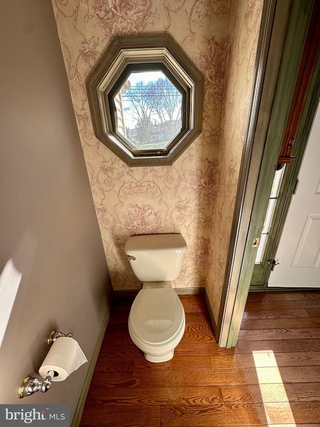 bathroom with wood-type flooring and toilet