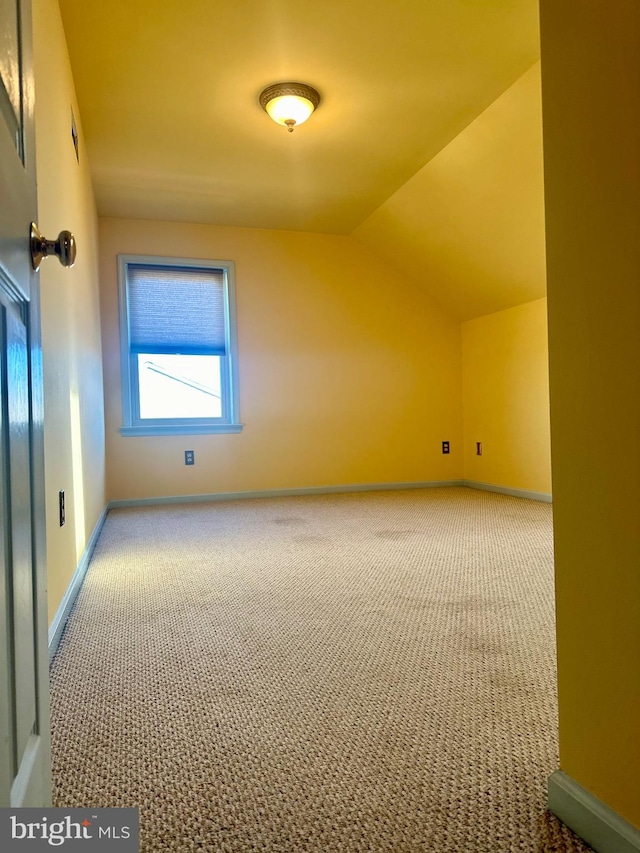 additional living space featuring carpet and lofted ceiling