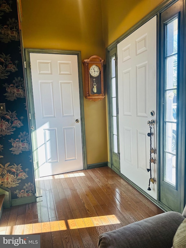 foyer with a wealth of natural light and wood-type flooring