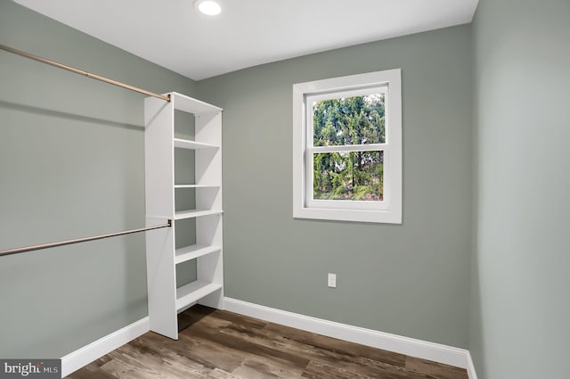 spacious closet featuring wood-type flooring