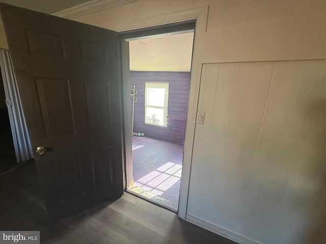 hall featuring wooden walls and wood-type flooring