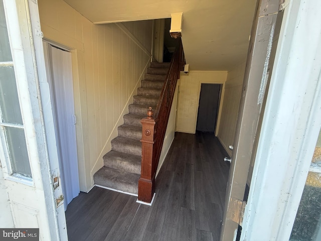 staircase featuring wooden walls and wood-type flooring