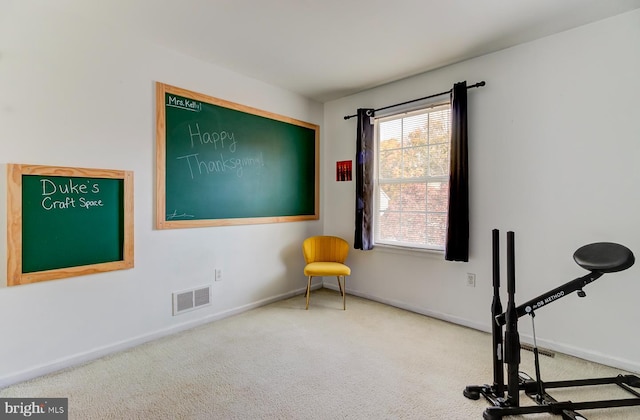 workout room with carpet