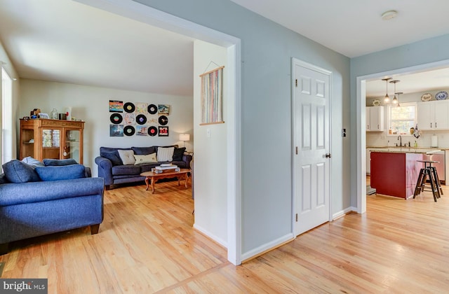 living room featuring light hardwood / wood-style floors