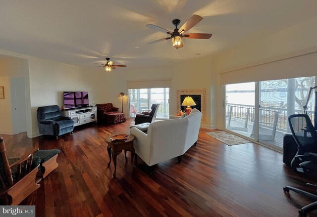 living room featuring dark hardwood / wood-style floors