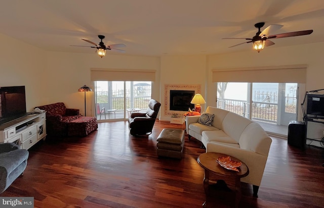 living room featuring ceiling fan and dark hardwood / wood-style floors