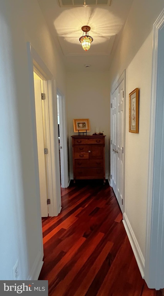 hallway with dark wood-type flooring