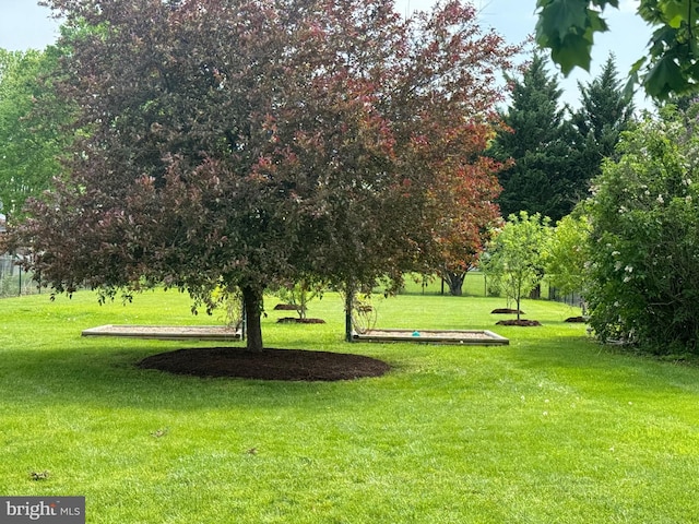 view of property's community with a lawn