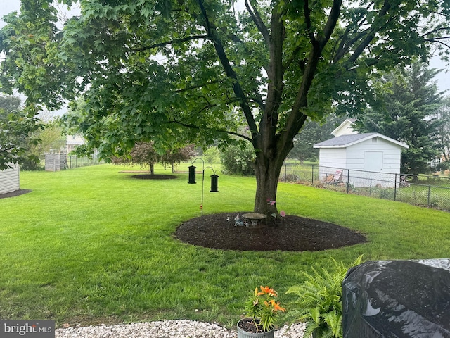 view of yard with a storage shed