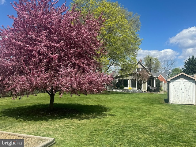 view of yard with a storage shed