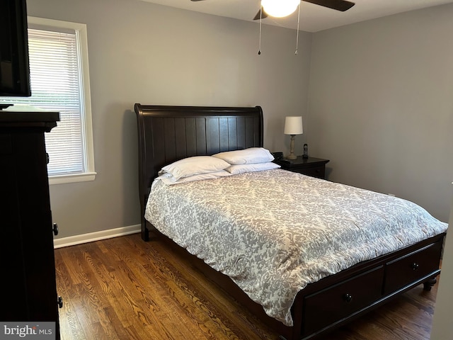 bedroom with multiple windows, dark hardwood / wood-style floors, and ceiling fan