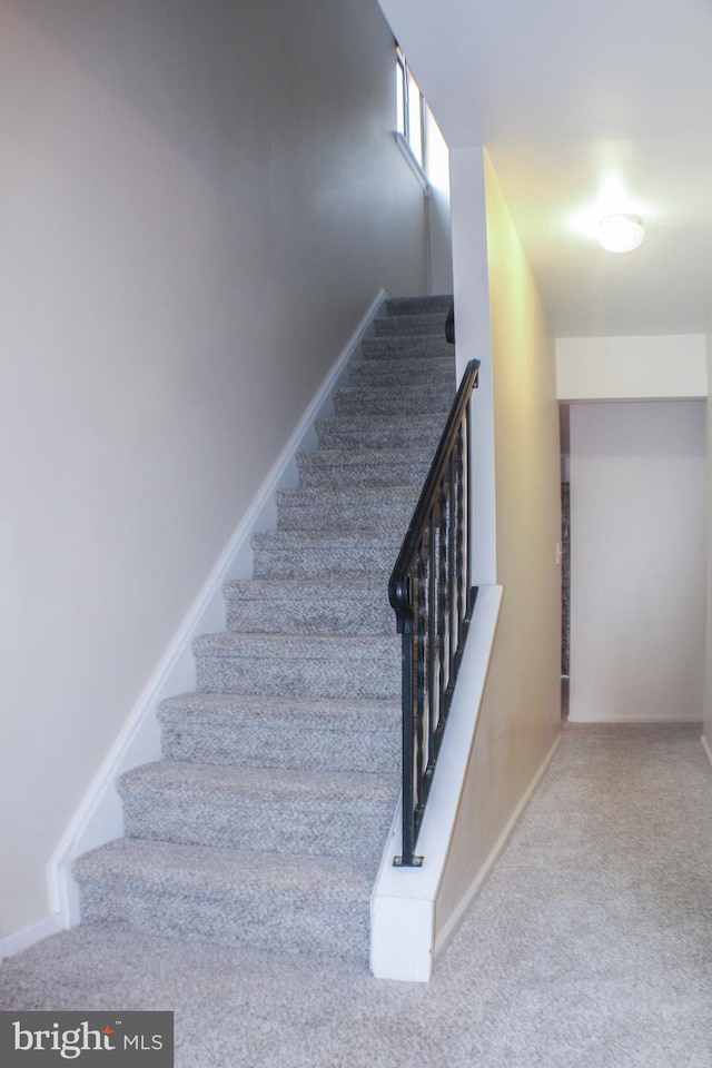 stairway with carpet