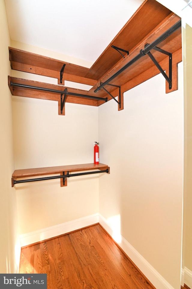 walk in closet featuring hardwood / wood-style floors