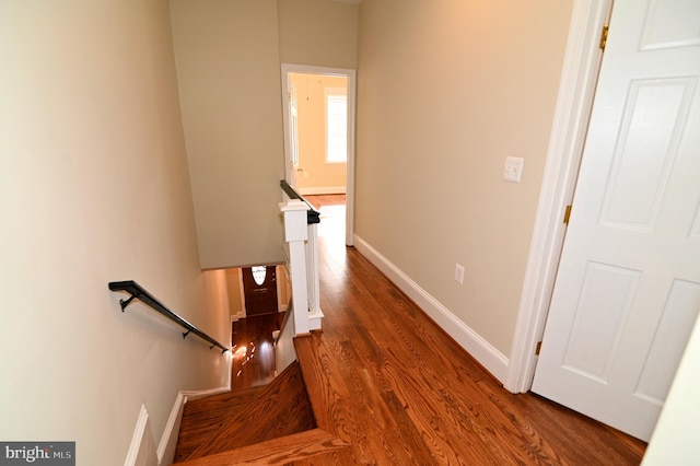 staircase with hardwood / wood-style floors