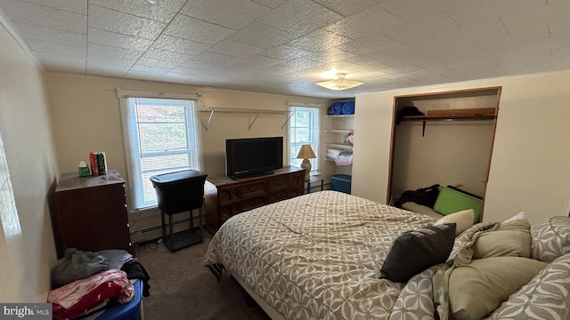 carpeted bedroom featuring a baseboard radiator, a spacious closet, and a closet