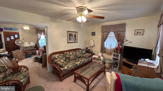 carpeted living room featuring a wealth of natural light and ceiling fan