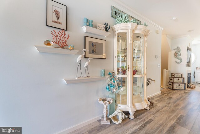 interior space featuring hardwood / wood-style flooring and ornamental molding