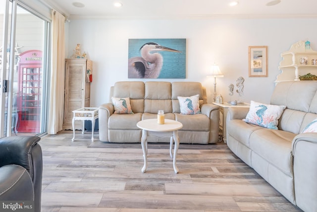 living room with crown molding and light wood-type flooring