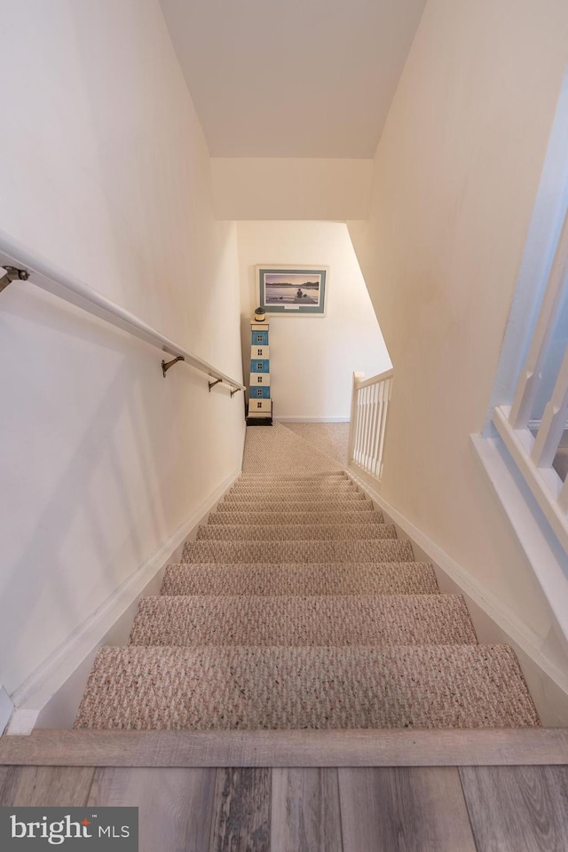 staircase with carpet