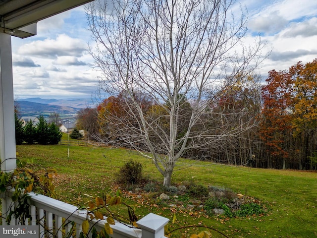 view of yard featuring a mountain view