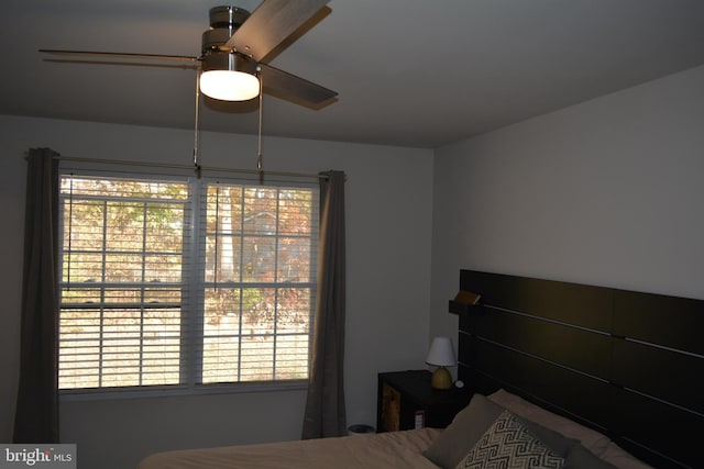 bedroom with multiple windows and ceiling fan