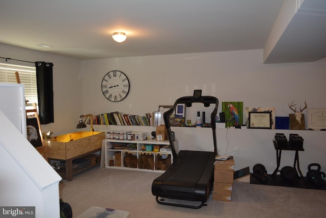 exercise room featuring carpet