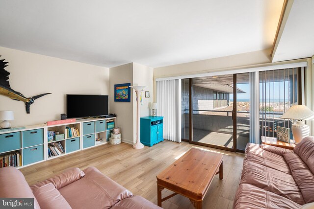 living room with light hardwood / wood-style floors