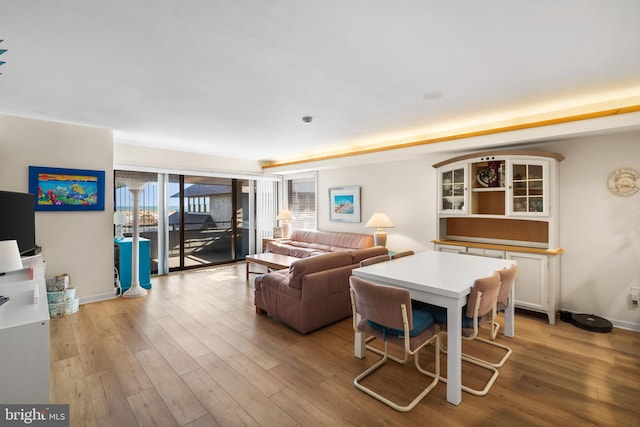 living room featuring light hardwood / wood-style flooring