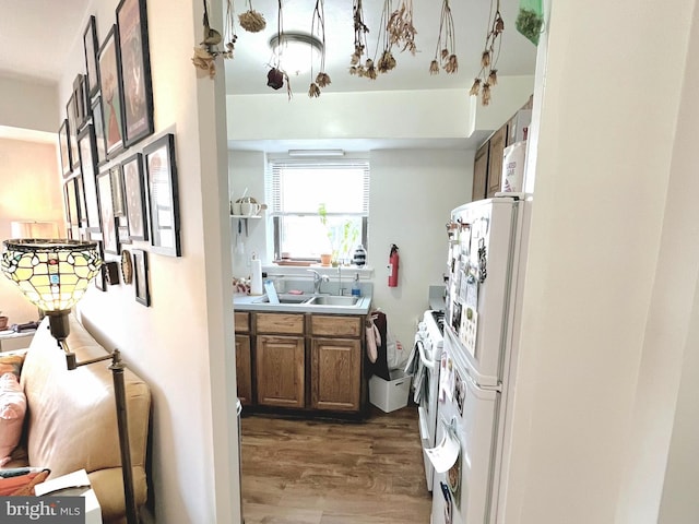 kitchen featuring dark hardwood / wood-style flooring, white refrigerator, and sink