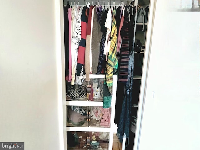 view of closet