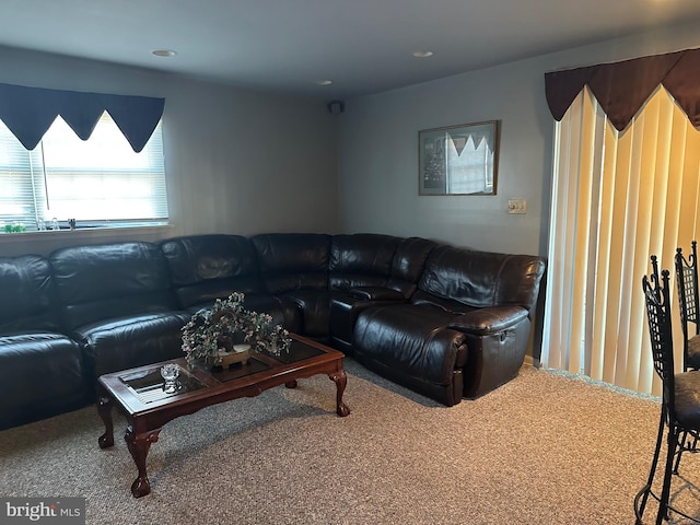 living room featuring carpet flooring