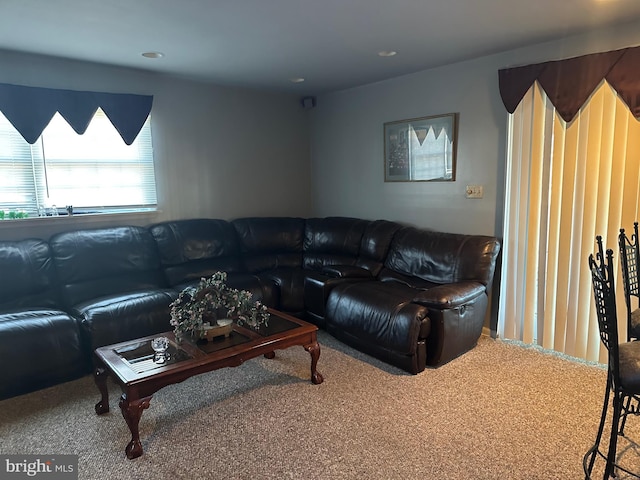 living room with carpet