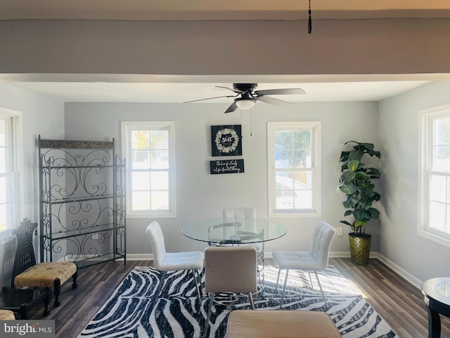 dining space with ceiling fan and dark hardwood / wood-style floors