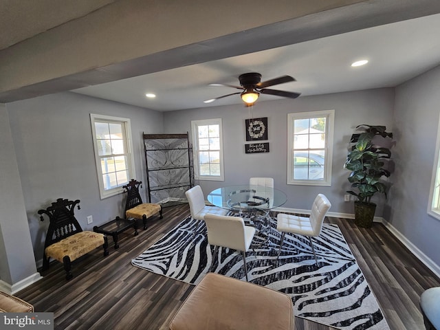 interior space with dark hardwood / wood-style floors, ceiling fan, and a wealth of natural light