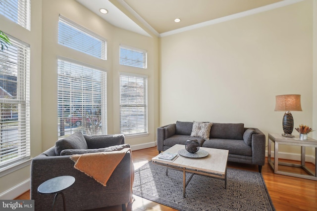 living room with a high ceiling, light hardwood / wood-style floors, and crown molding