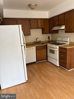 kitchen featuring light hardwood / wood-style floors, white appliances, and sink