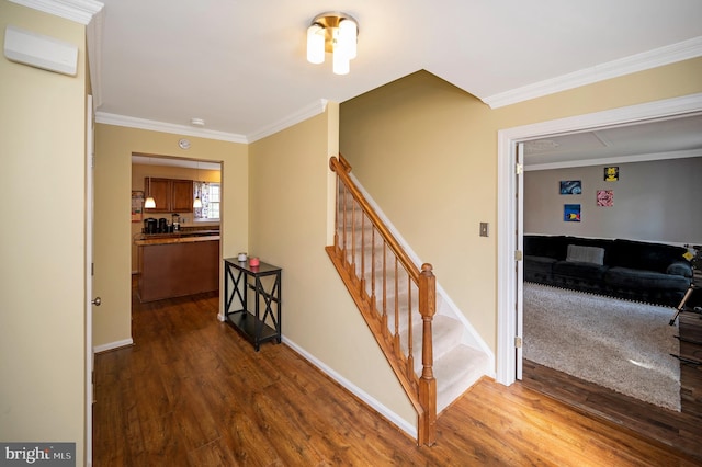 corridor featuring crown molding and dark hardwood / wood-style floors